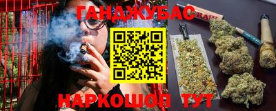гидра Краснознаменск