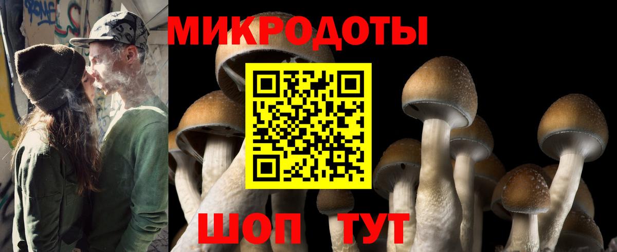 Галлюциногенные грибы Psilocybe  Вход с VPN  Семёнов  магазин продажи наркотиков  Псилоцибиновые грибы ЛСД 